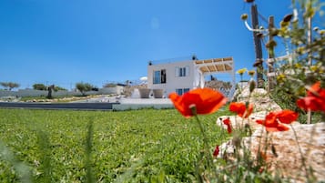 Blick auf den Garten