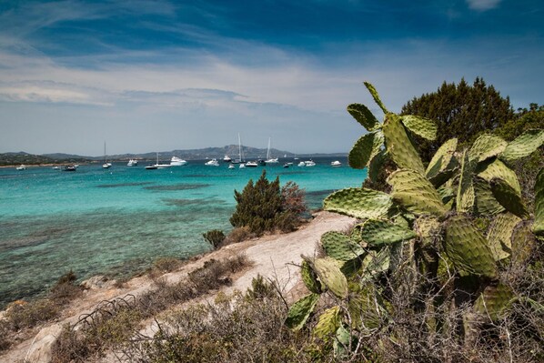 Exterior - Villetta Franca 100m From The Beach (Golfo Aranci)