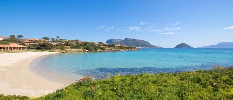 Family Villa, Multiple Bedrooms (Villetta Franca 100m From The Beach) | Beach