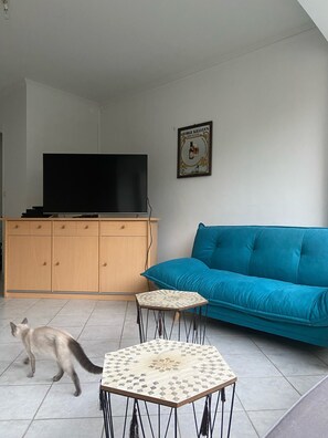 Fernseher