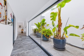 A modern hallway with glass walls, potted plants, and artwork on the walls. - Casa Blanca Magnificent Villa With Modern Design, walking distance to beach (Carvoeiro)