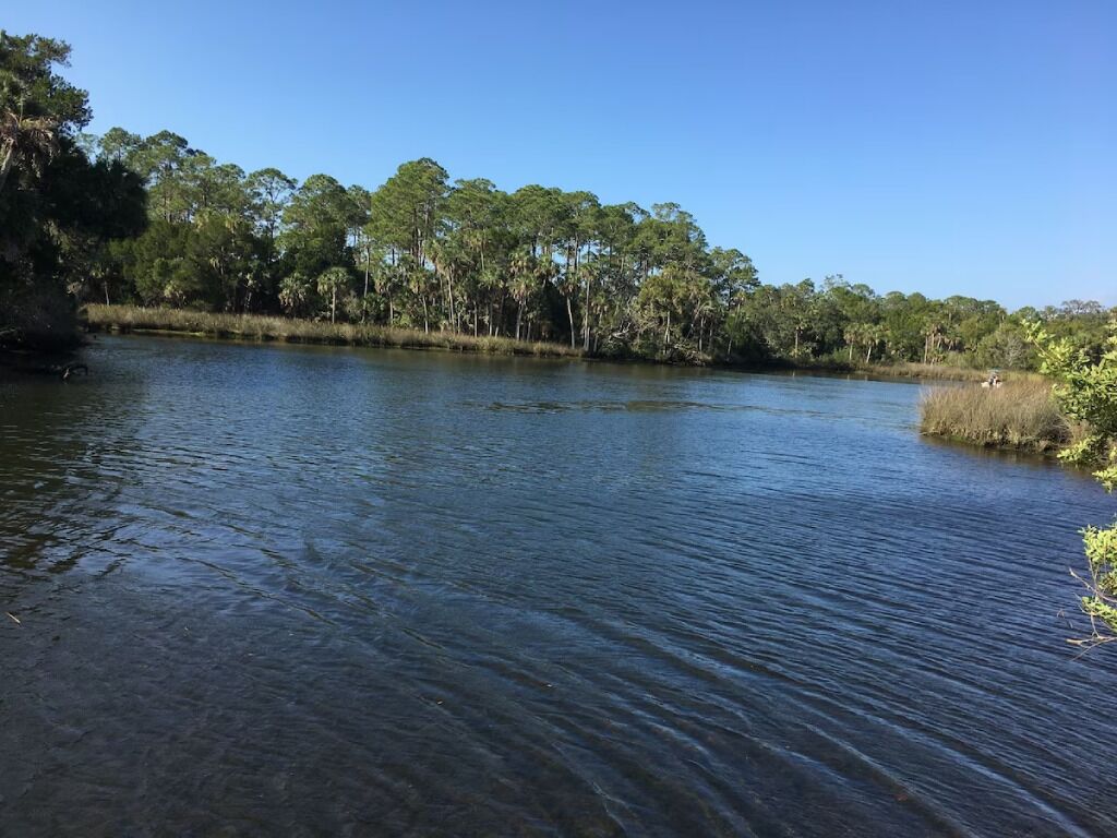 Un lago tranquilo rodeado de árboles y vegetación densa.