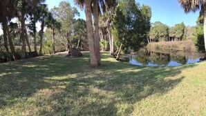 A grassy area with a pond, trees, and a small building. - "Salty Siren" Mermaid Themed Room at Weeki Wachee Waterfront Adventure Retreat (Weeki Wachee)