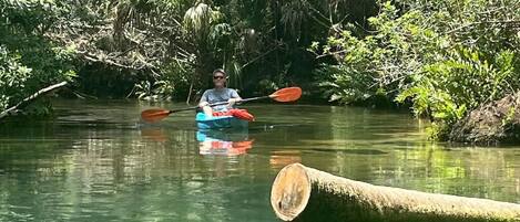 A person kayaking in a calm river surrounded by dense greenery.