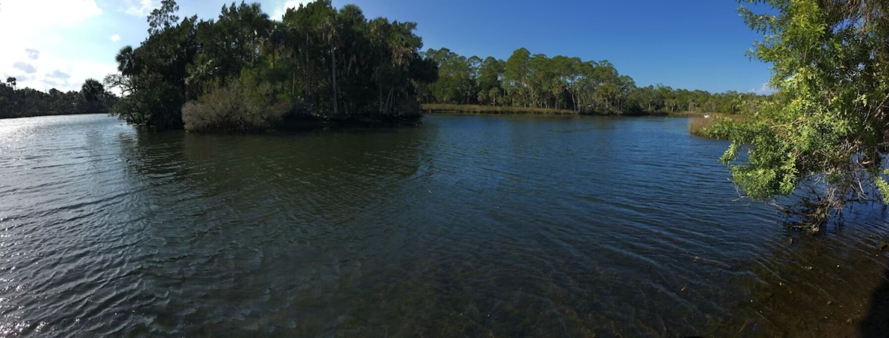 Ein ruhiger See mit einer kleinen, von Bäumen bewachsenen Insel.