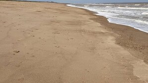 A sandy beach with footprints leading to the water, a clear sky, and a distant horizon. - Caravan -chapel, Skegness With Decking From March (Skegness)