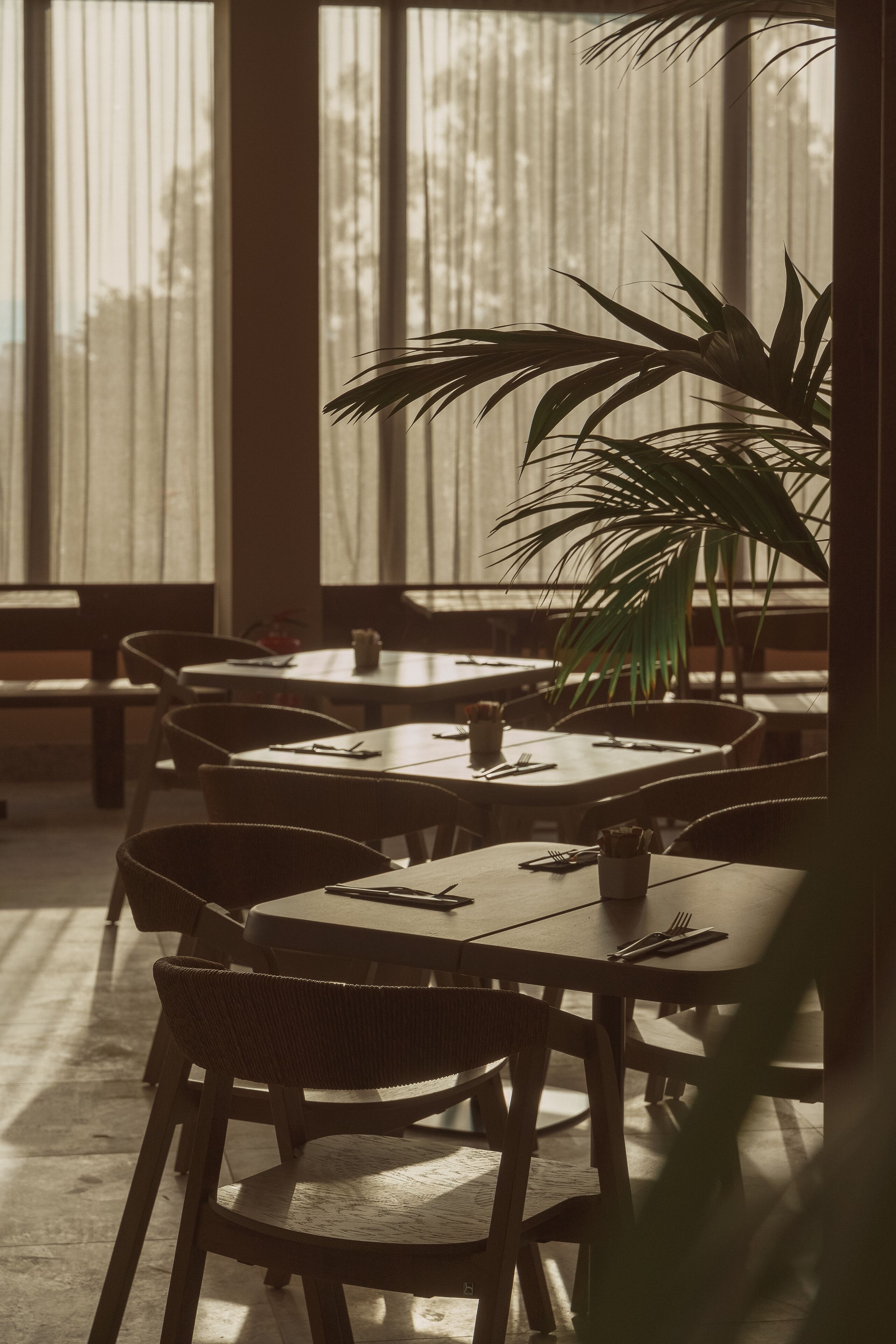 Ein Restaurant mit Holztischen und -stühlen, einer großen Kübelpflanze und Blick durch transparente Vorhänge.