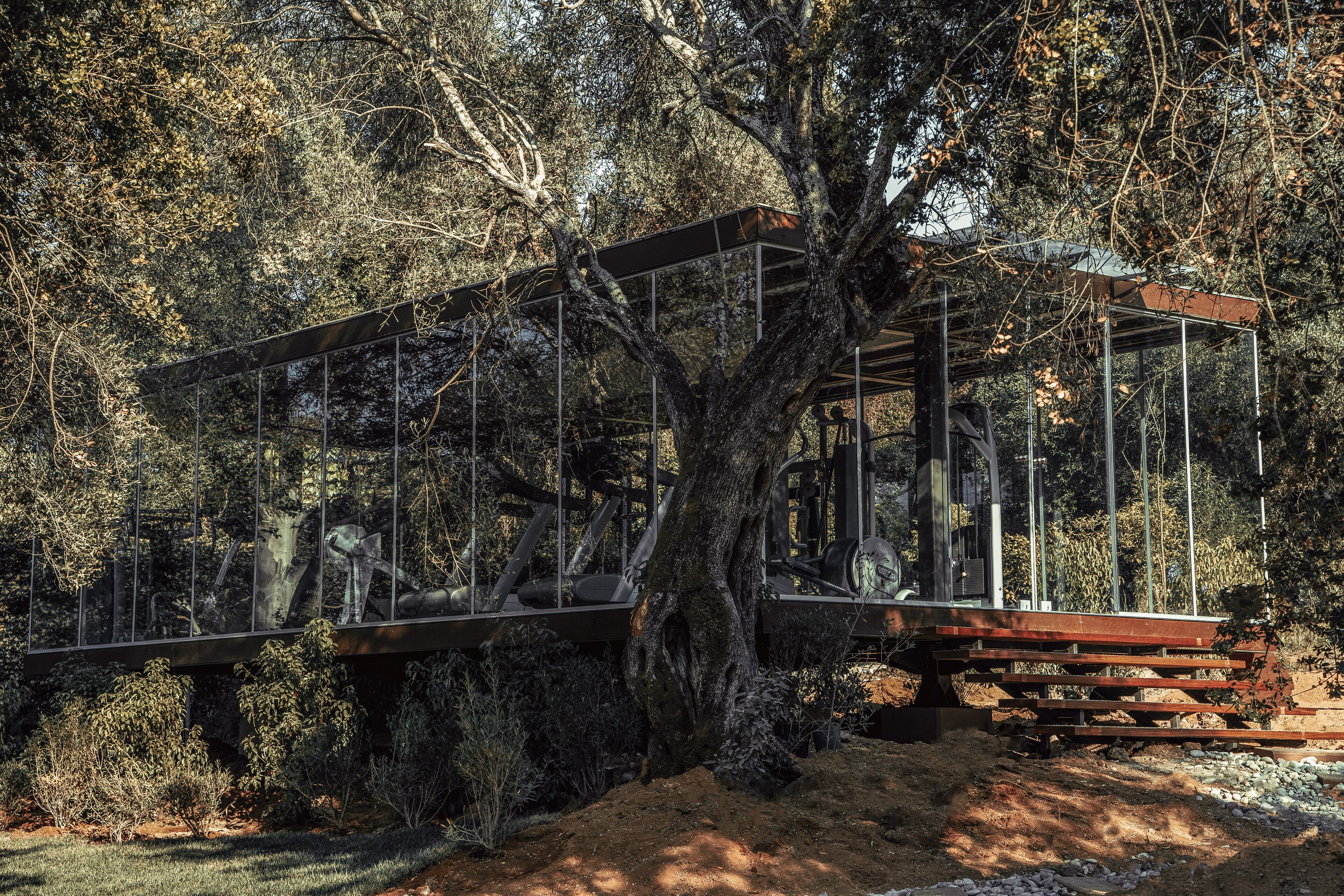 Una estructura de casa en los árboles con cerramiento de vidrio, rodeada de follaje denso.