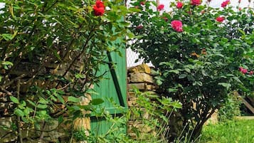 Cottage | Halaman properti