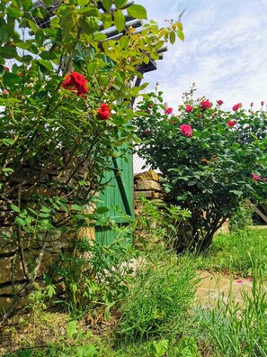 Un jardín con rosas rojas, un muro de piedra y una puerta verde.