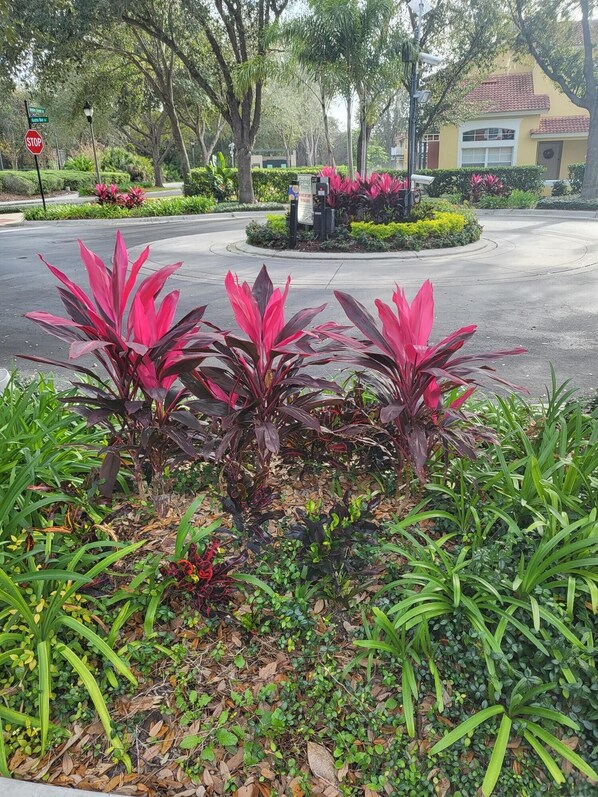 Áreas de la propiedad