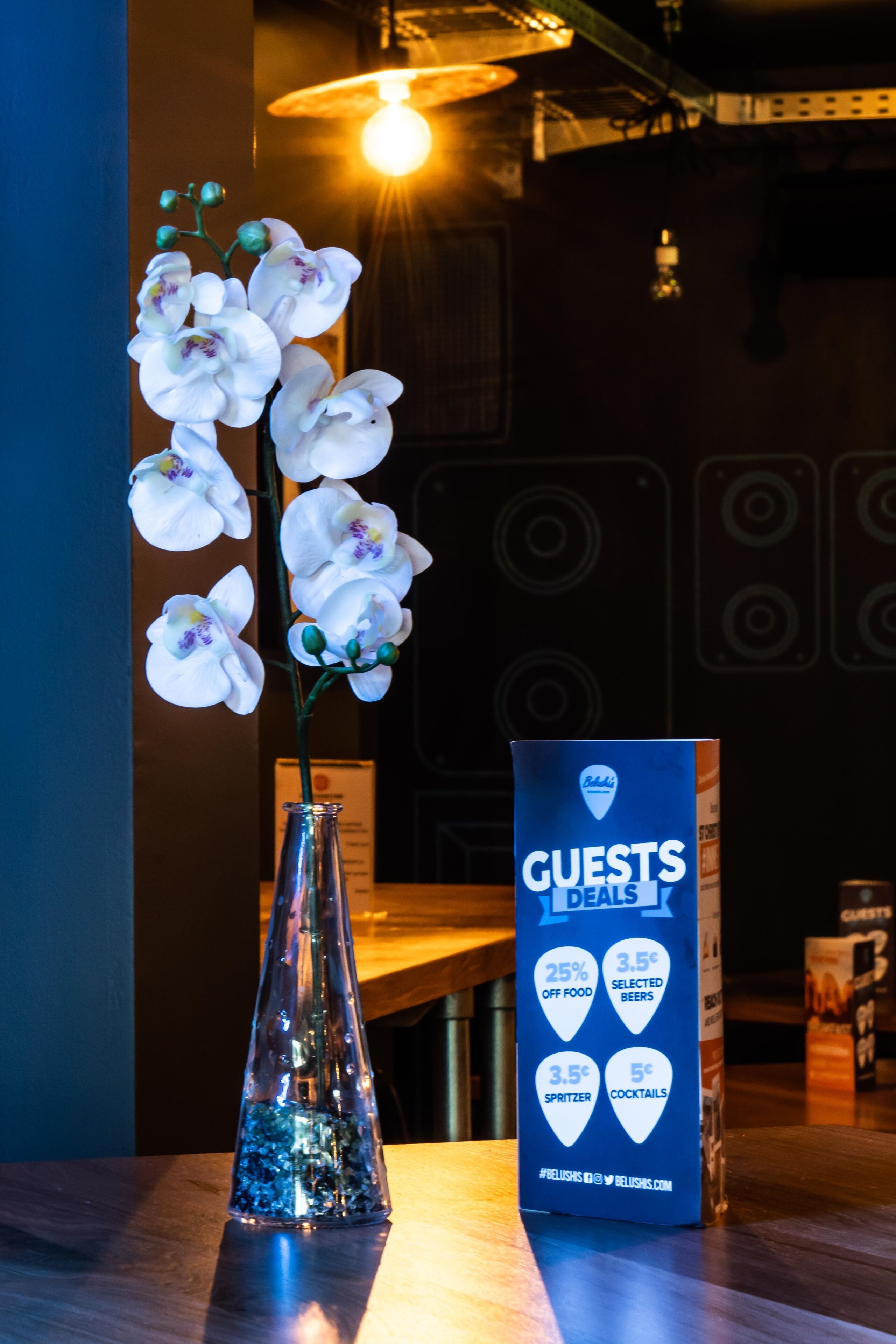 Photo - St Christopher's Inn Vienna