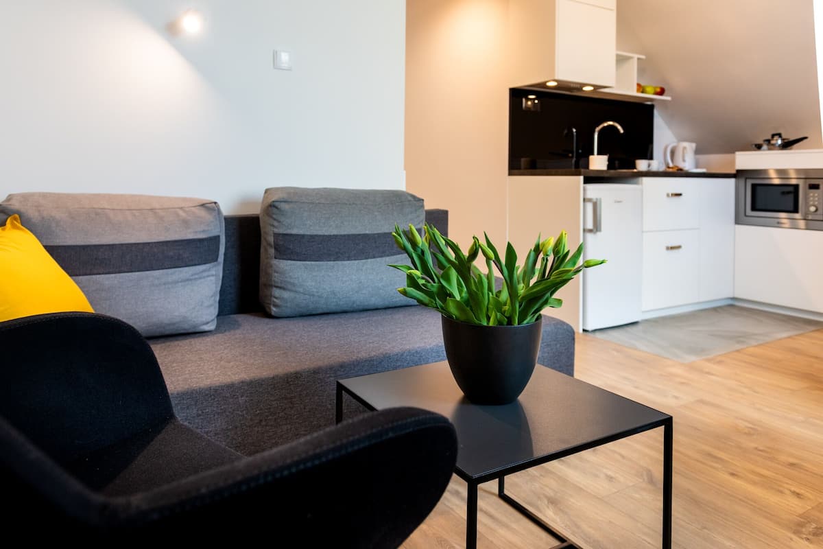 Una sala moderna con un sofá gris, un sillón negro y una mesa de centro negra. Hay una planta en maceta sobre la mesa de centro.