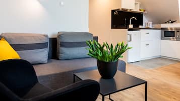 Comfort-studiolejlighed | Opholdsområde