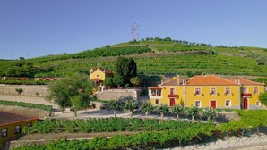 A vineyard with rows of grapevines, a yellow building with red doors, and a church on a hill. - Casa do Salgueiral (Santa Marta de Penaguião)