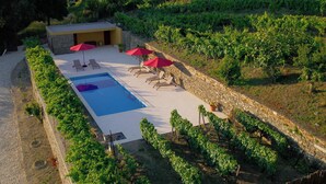 A pool area with lounge chairs and umbrellas, surrounded by a stone wall and vineyard. - Casa do Salgueiral (Santa Marta de Penaguião)