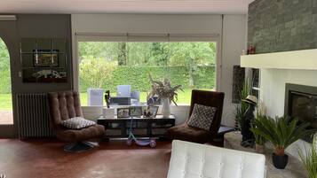 TV, fireplace, table tennis, books