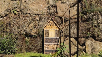 Jardín