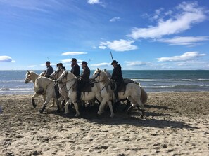 On the beach