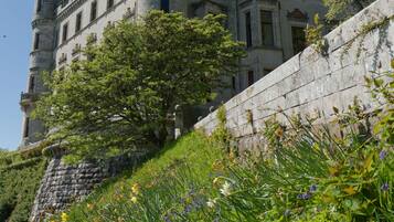 A castle with multiple towers, surrounded by lush greenery and flowering plants.