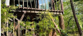 45' South of Bordeaux, treehouse and jacuzzi : Réminiscence - Les Landines