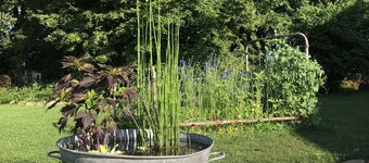 Superbly renovated former notable's property.