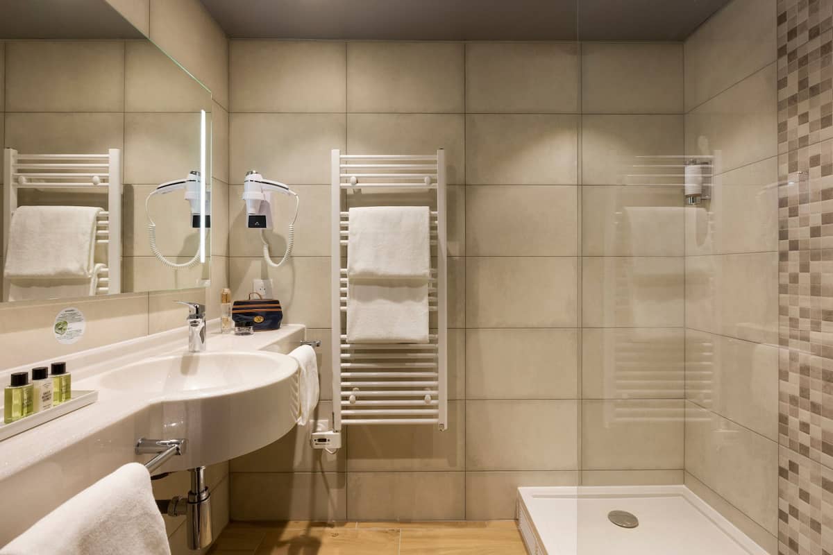 shower, free toiletries, hair dryer, towels