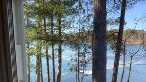 Une vue sur un lac, avec de grands arbres et un quai.
