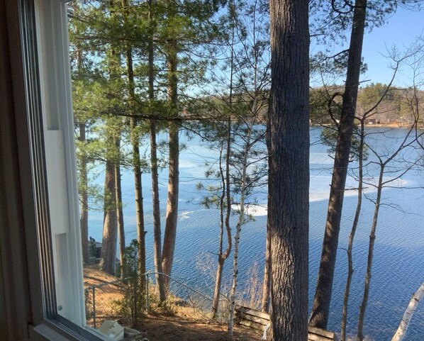 A view of a lake with tall trees and a dock. - Sunset View Lake Front Living with Dock & Boat Ramp on Lake Winnisquam (Belmont)