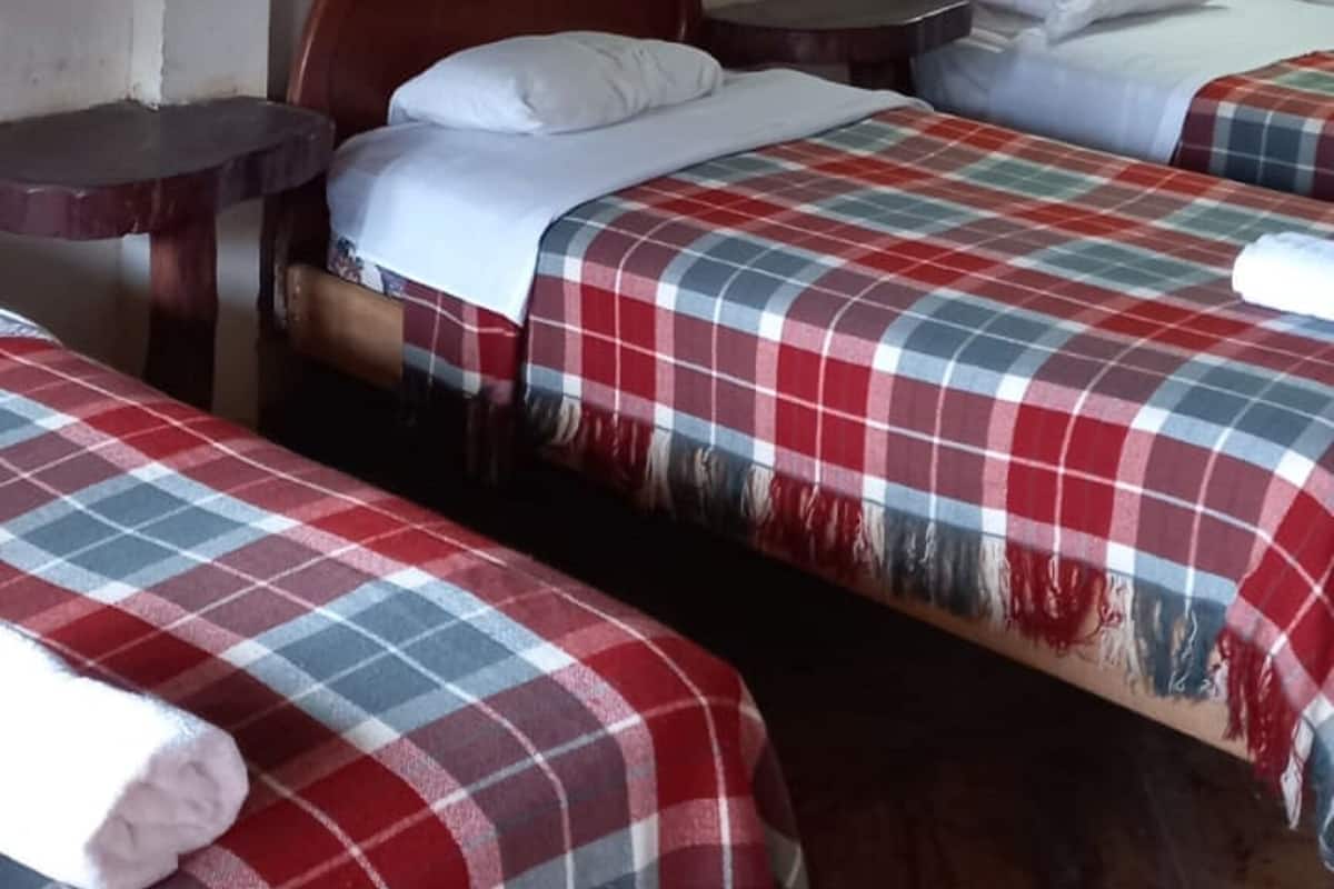 Chambre Familiale | Vue de la chambre
