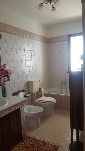 Bathtub, hair dryer, bidet, towels