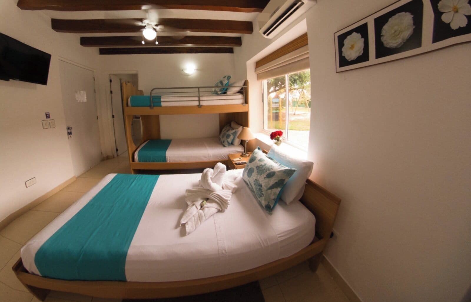 Une chambre avec deux lits superposés, une fenêtre donnant sur un beau paysage et un ventilateur de plafond.