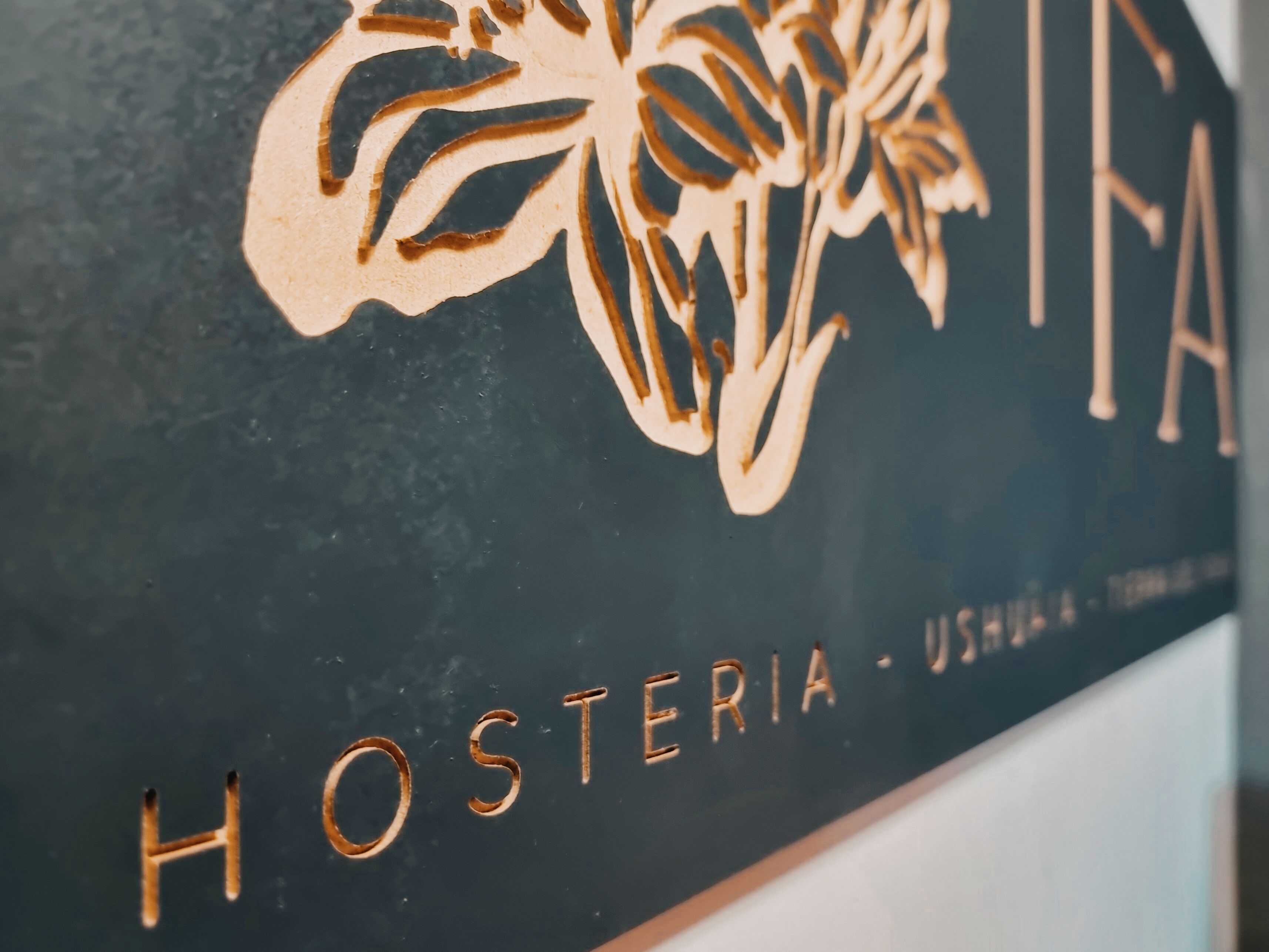 Photo - Flor Austral