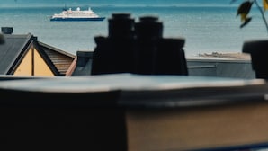 Une vue d’un navire sur l’eau, avec des montagnes enneigées en arrière-plan et un pont au premier plan.