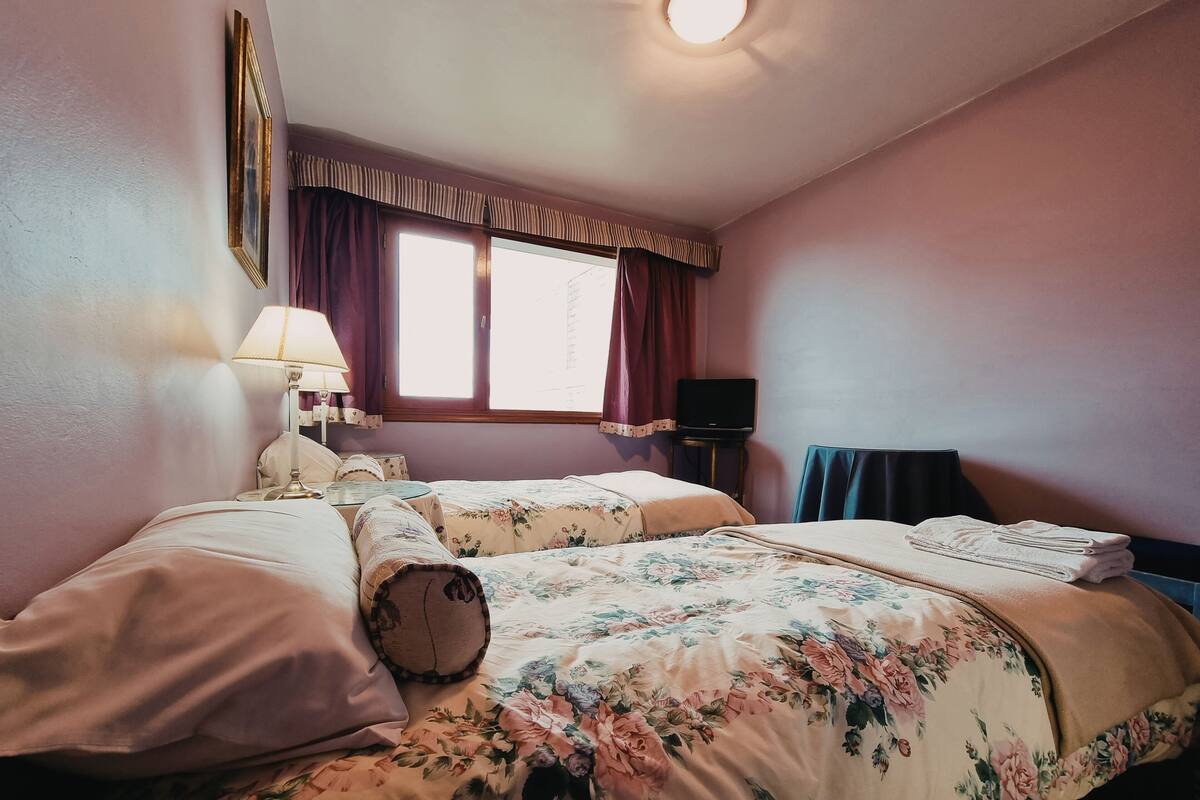 A bedroom with two beds, a nightstand with a lamp, a window with curtains, and a television on a small table.