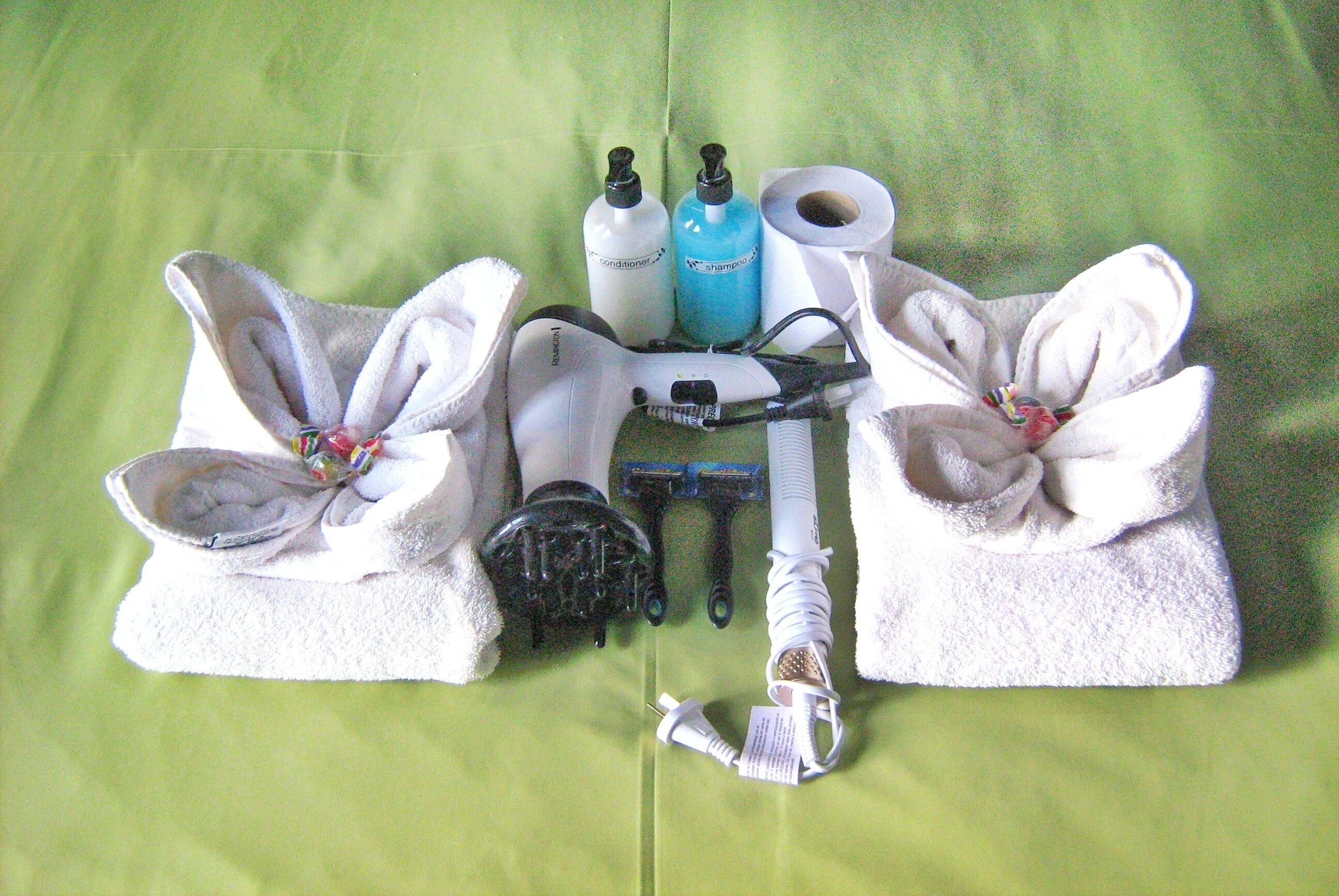 Photo - Flor Austral