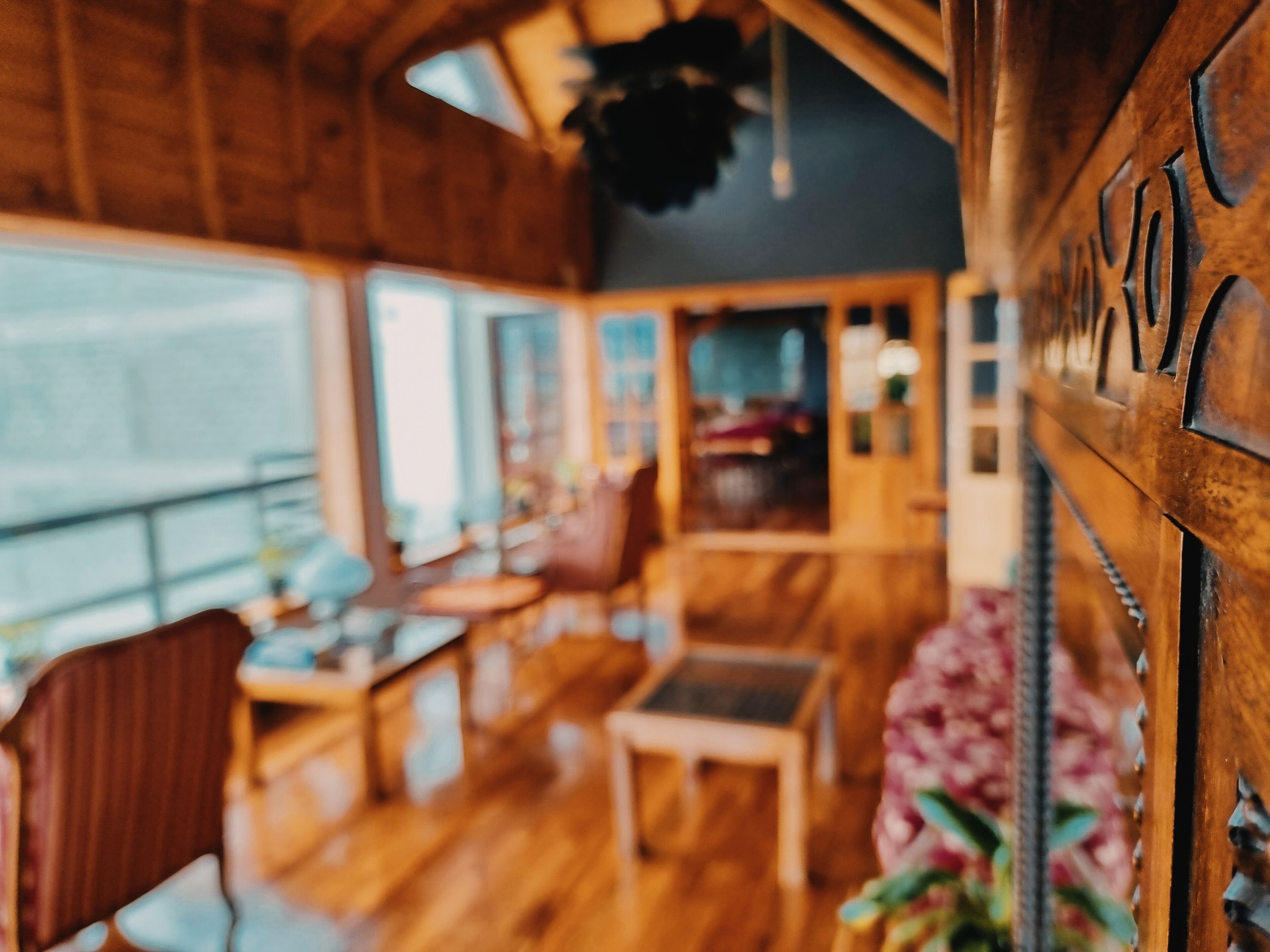 Photo - Flor Austral