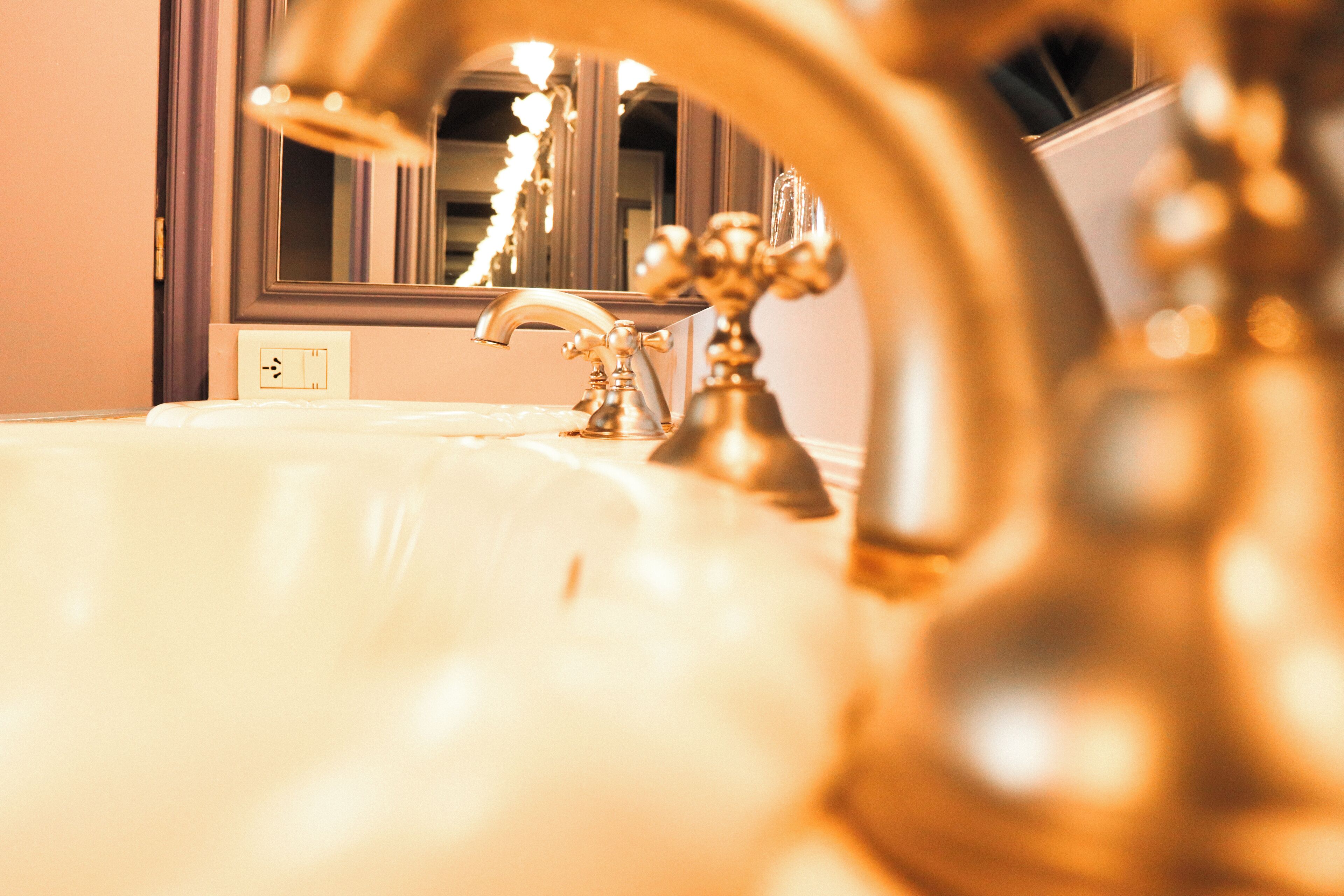 Photo - Flor Austral