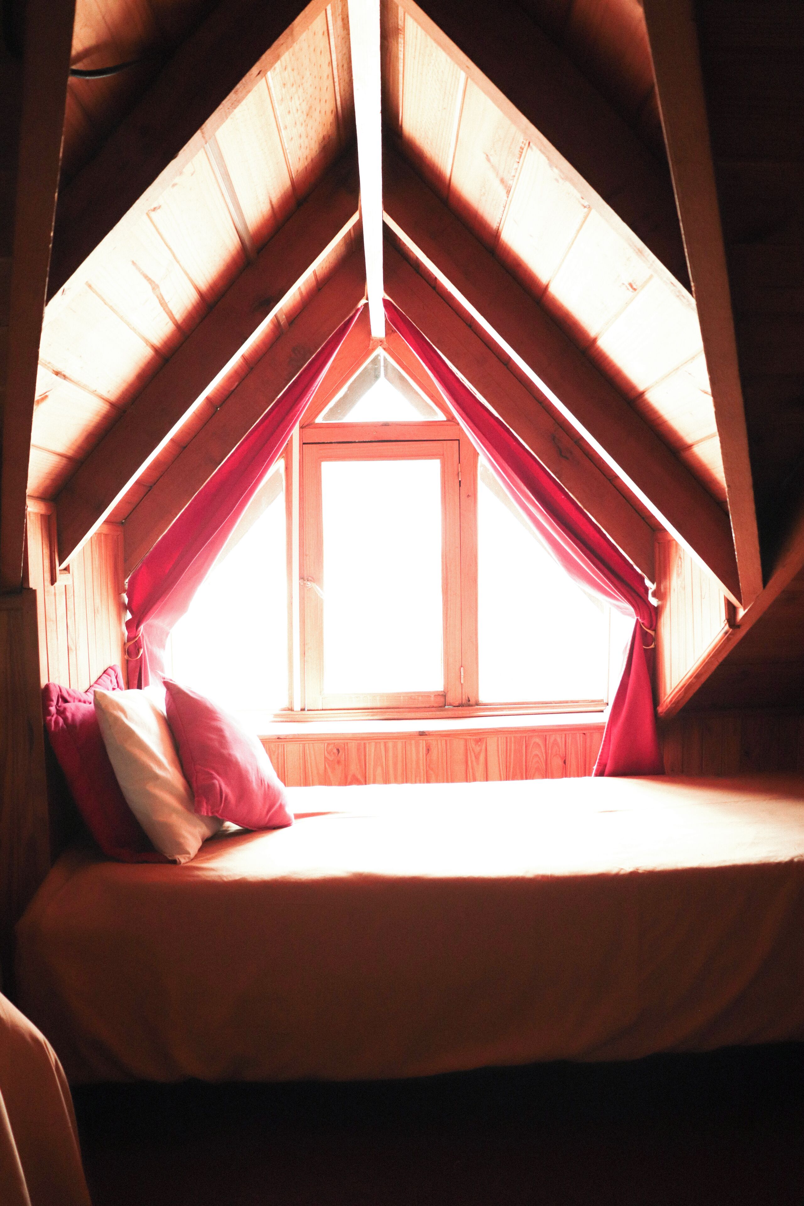 Photo - Flor Austral