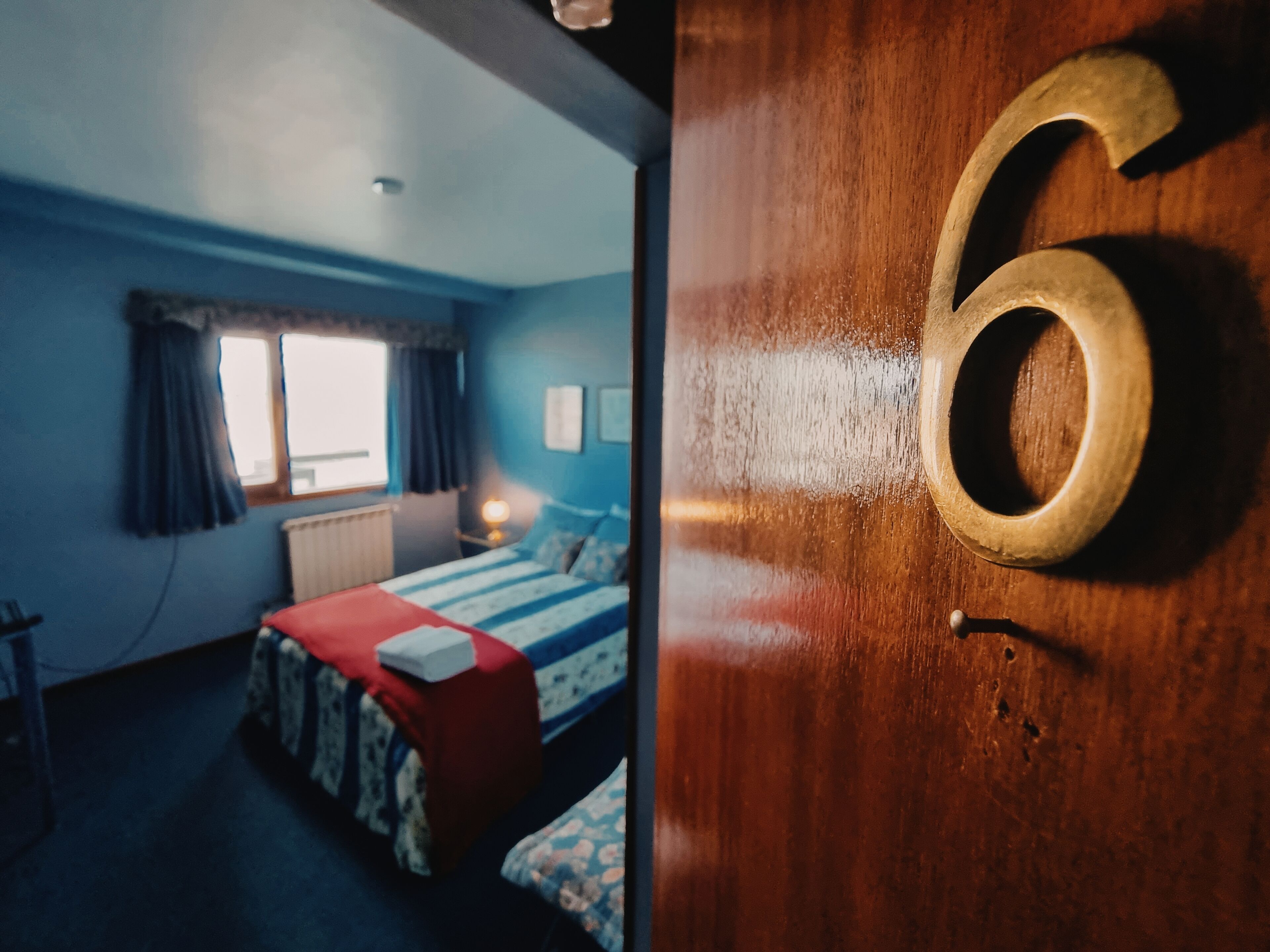 Photo - Flor Austral