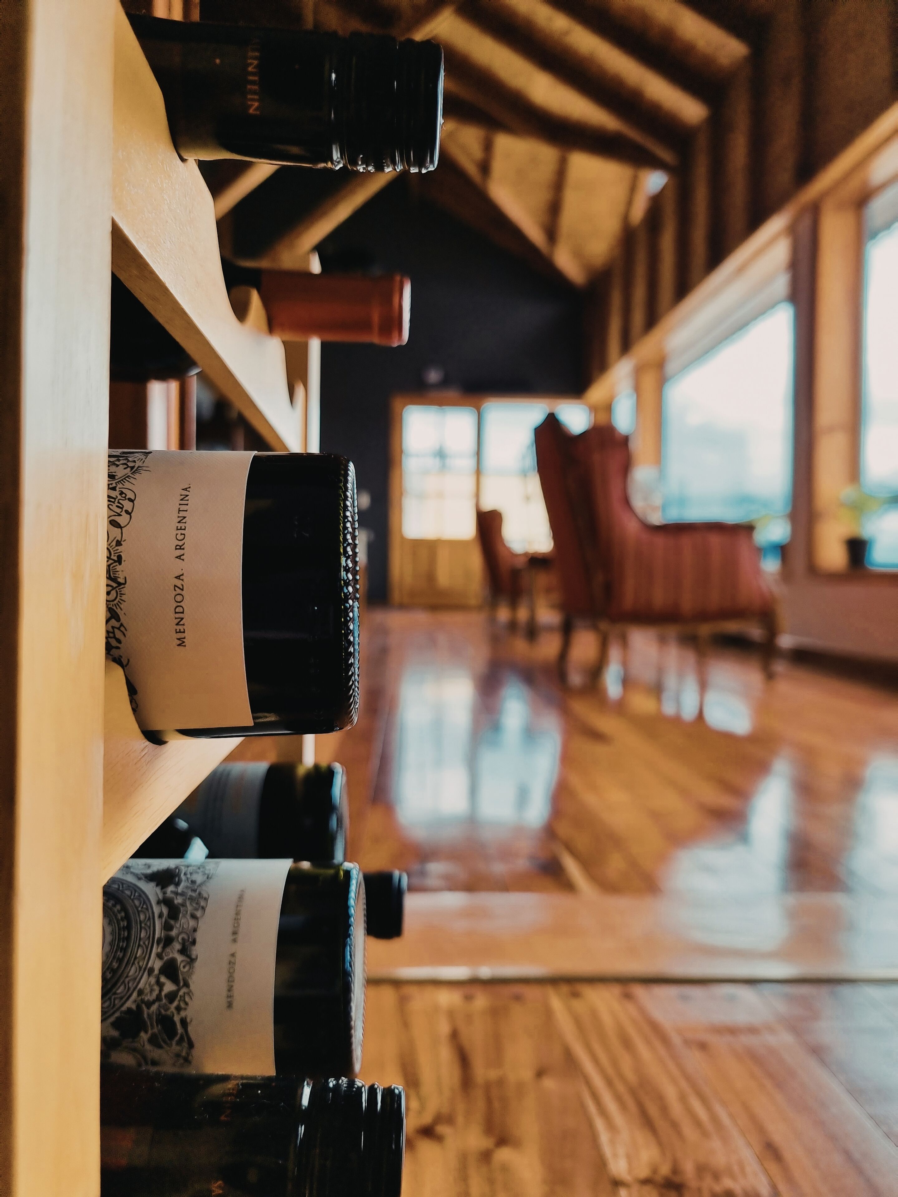 Photo - Flor Austral