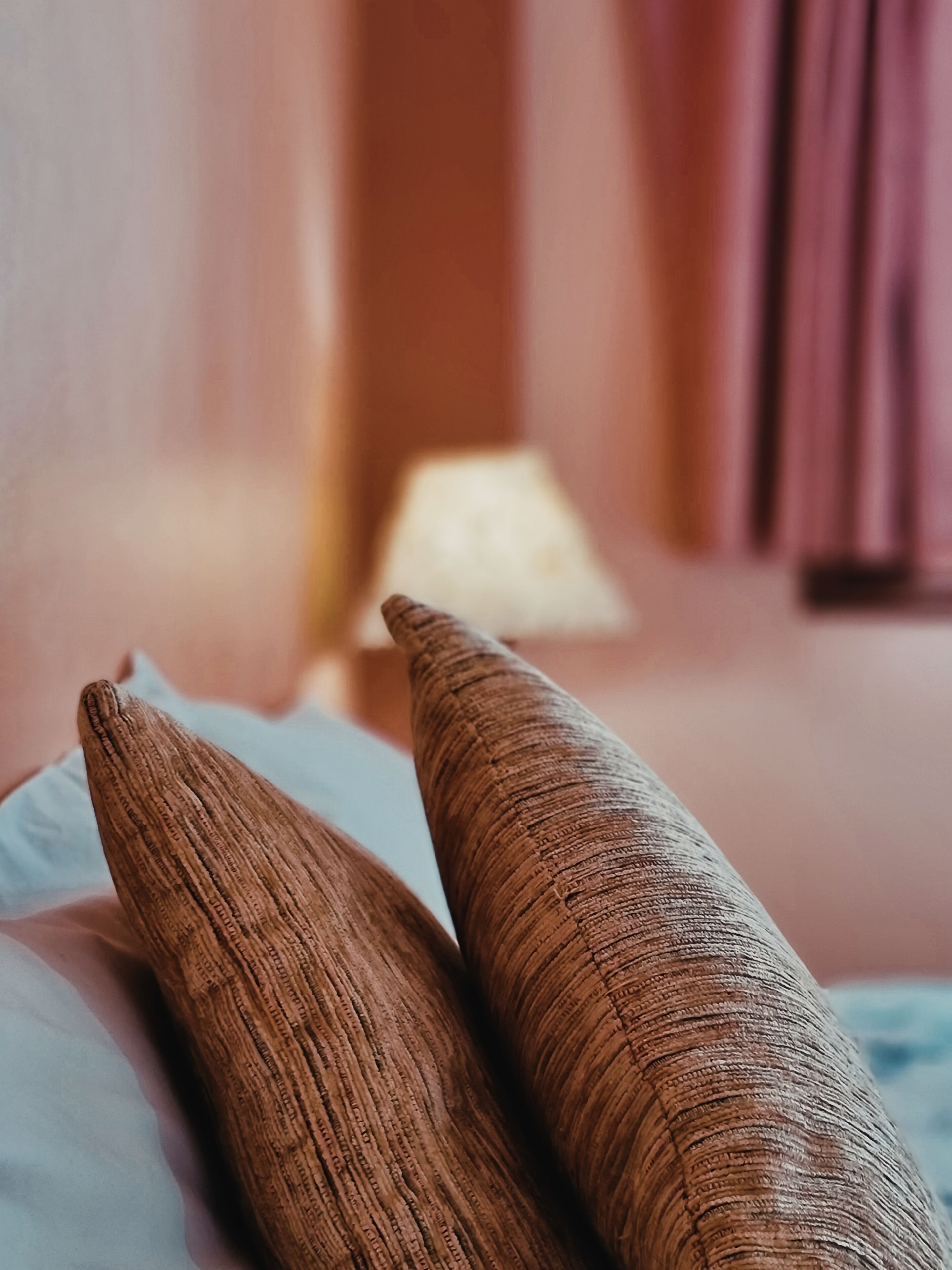 Photo - Flor Austral