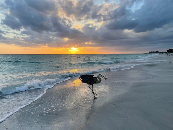 بالقرب من الشاطئ، مناشف للشاطئ