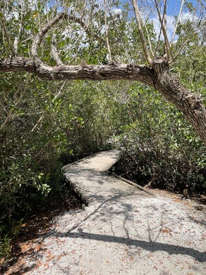 المنطقة المحيطة بالمنشأة