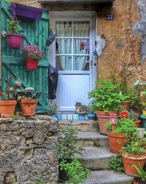 Una casa rústica con un muro de piedra, una puerta verde y un gato sentado en los escalones.