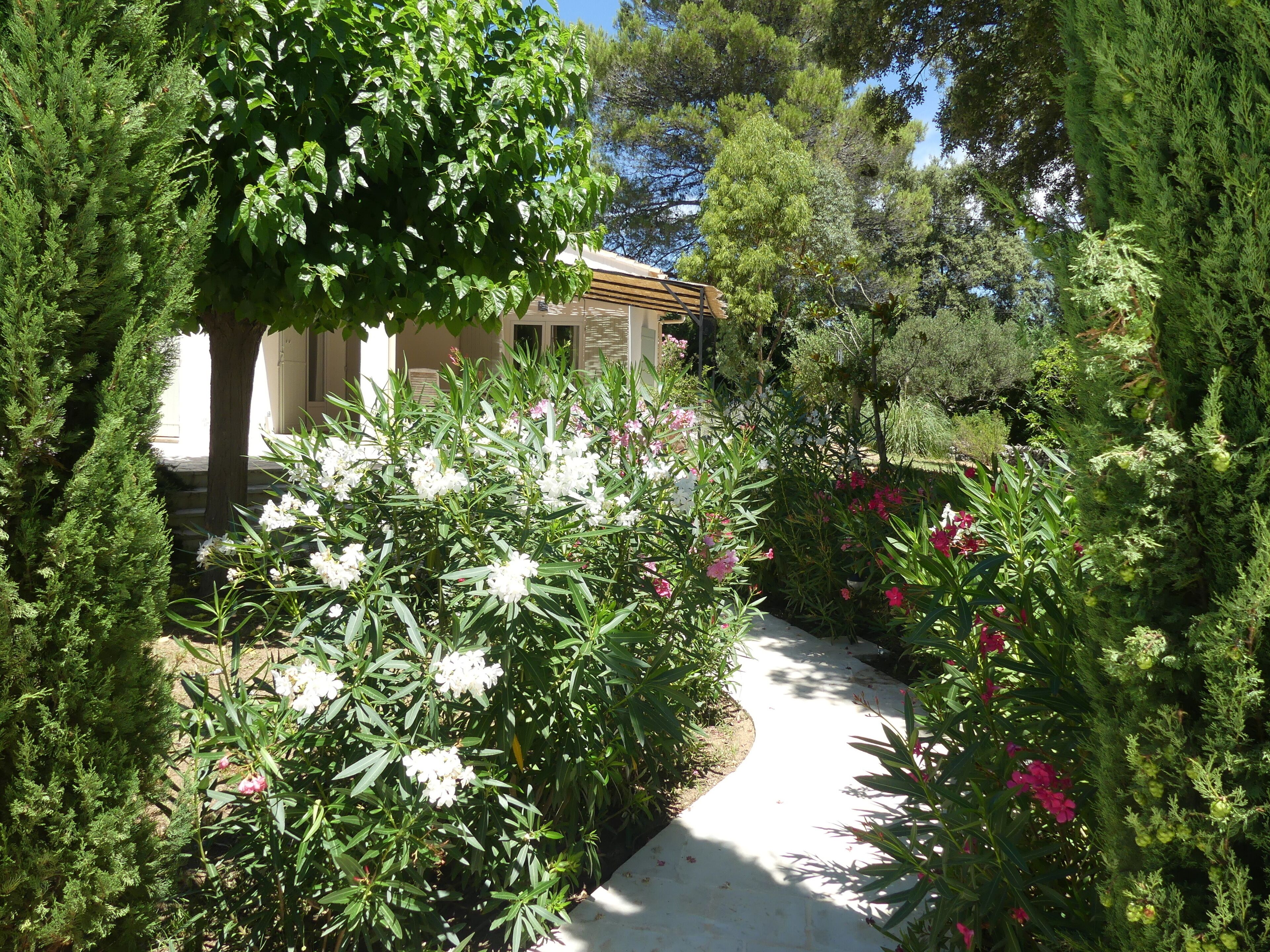 Terrein van de accommodatie