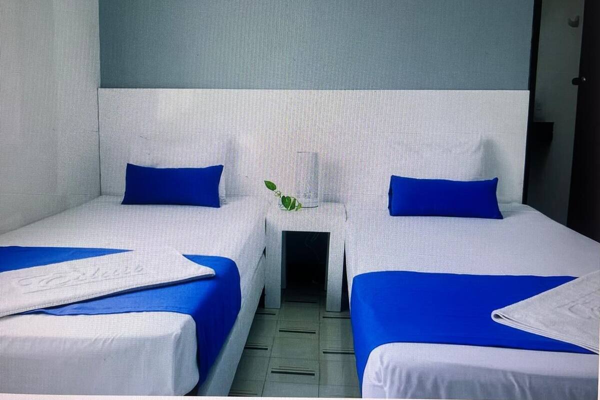 Een hotelkamer met twee bedden, elk voorzien van een blauw kussen en witte beddengoed. Tussen de bedden staat een kleine tafel met een plant.