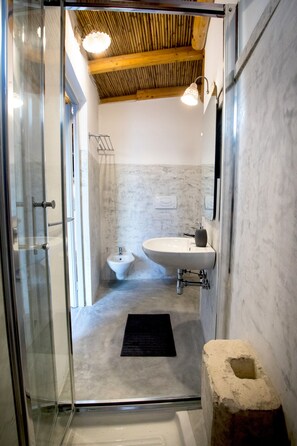 Shower, hair dryer, bidet, towels