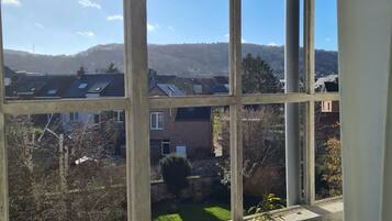 Business studio suite, uitzicht op tuin | Uitzicht vanaf balkon