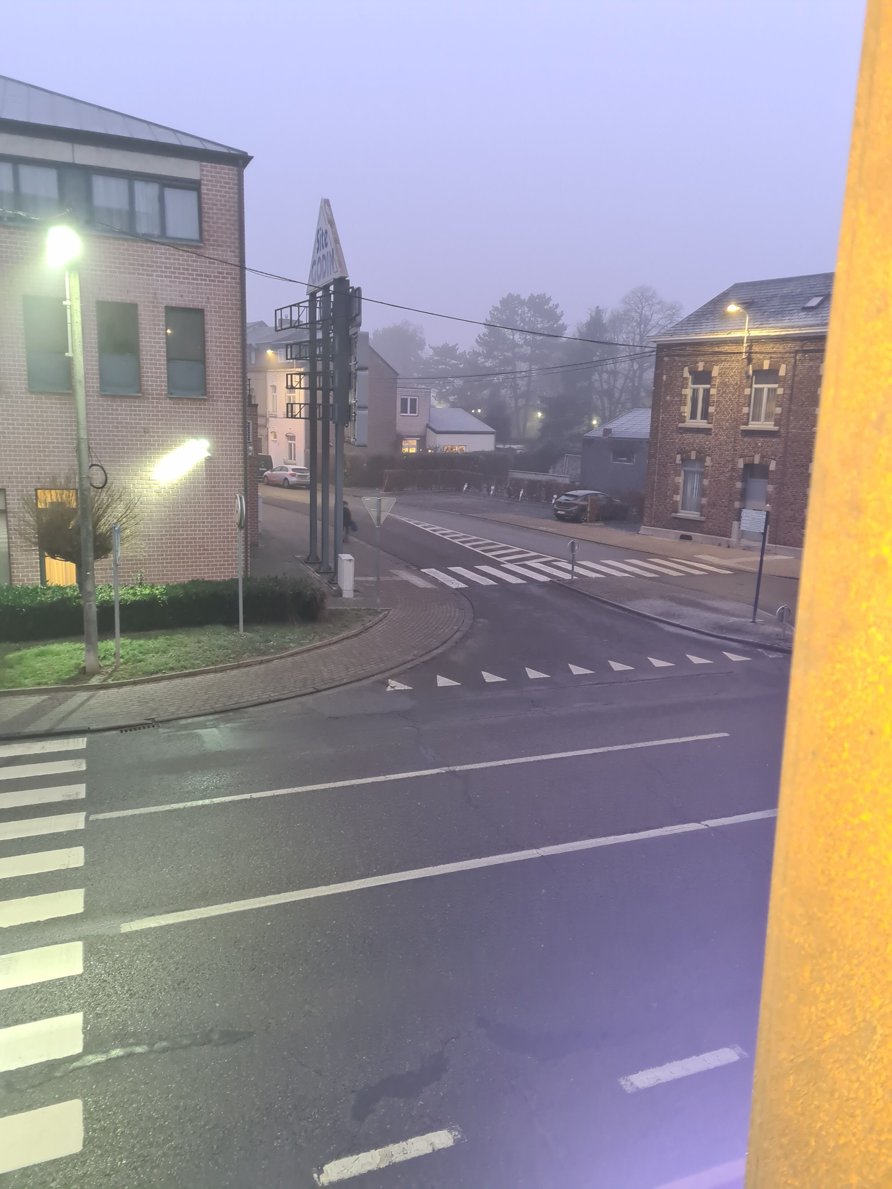 Straßenansicht mit Fußgängerüberweg, Gebäuden und Straßenlaternen.